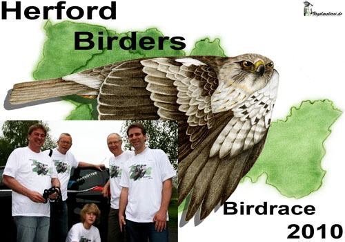 Herford-Birders 2010